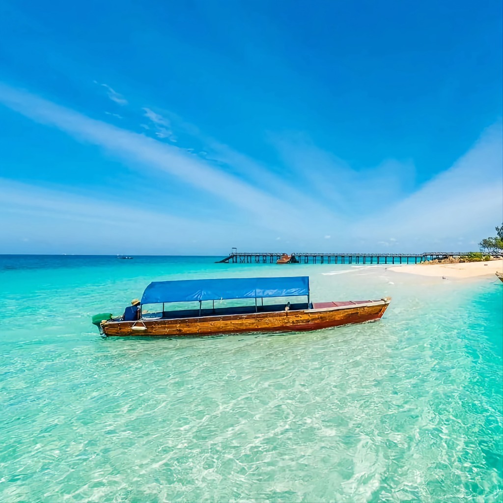 Prison Island and Giant tortoise Tour